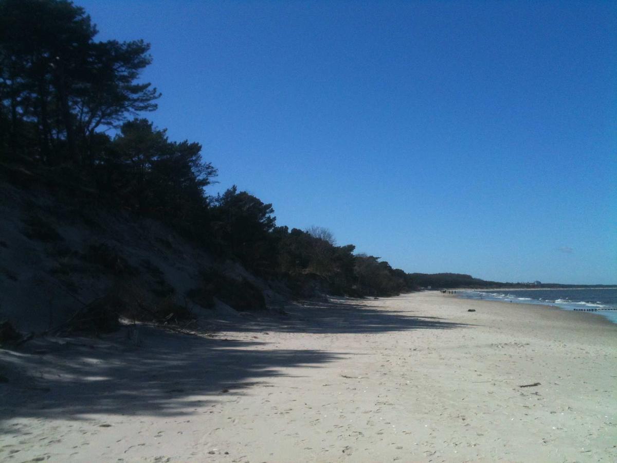 Zempin Ostseepark WE 36 **Insel Usedom**150m zum Strand** Exterior foto